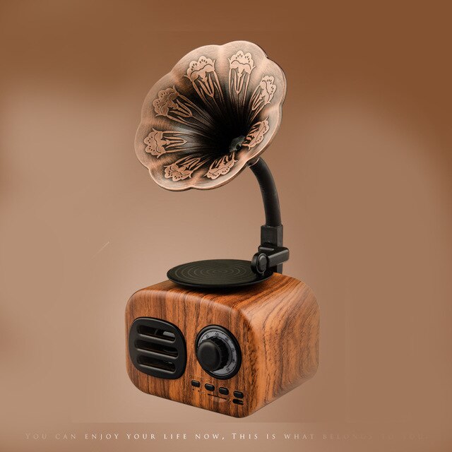 SANSUI FT05 Retro Wooden Bluetooth Speaker | USB, AUX, TF | 5W Stereo eprolo