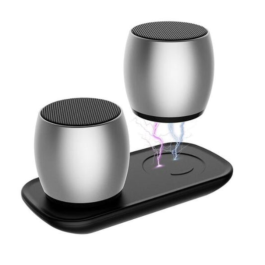 Mini Dual Magnetic Bluetooth Speakers with Charging Base, TWS Stereo Pairing eprolo