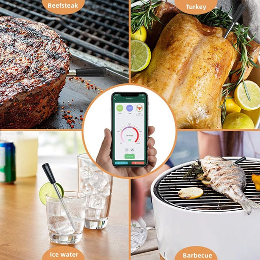 Probe T Smart Wireless Meat Thermometer with Bluetooth, IPX7 Waterproof eprolo